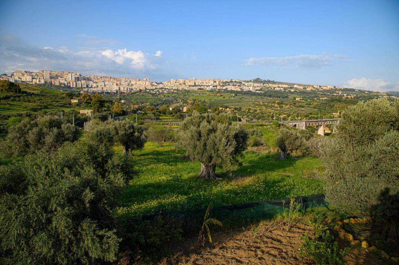 Villa Caterina Αγκριτζέντο Εξωτερικό φωτογραφία