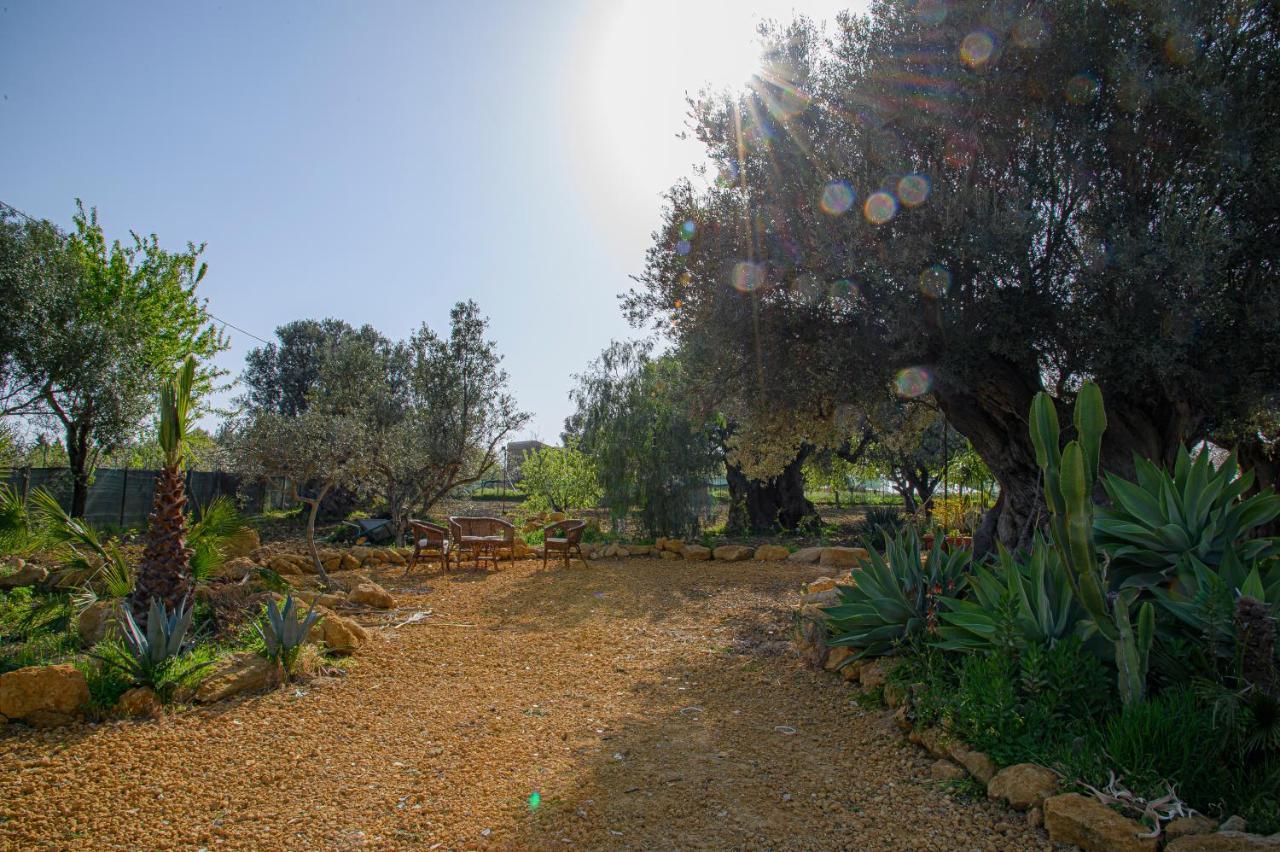 Villa Caterina Αγκριτζέντο Εξωτερικό φωτογραφία